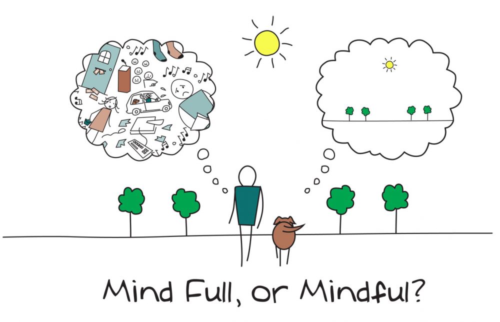 Mindfull or Mindful